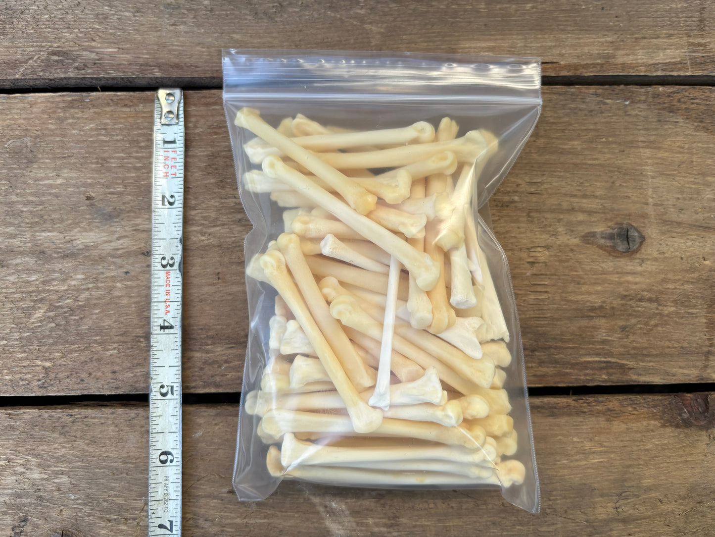 Assorted Bones - Medium