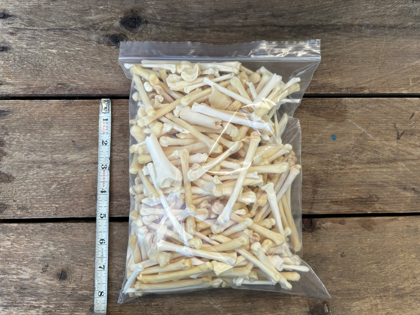 Assorted Bones - Medium