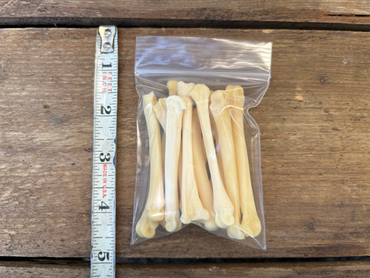 Assorted Bones - Medium