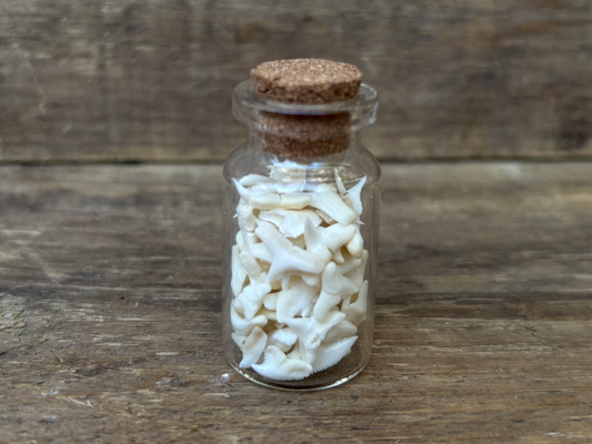 Vial of Blue Shark Teeth
