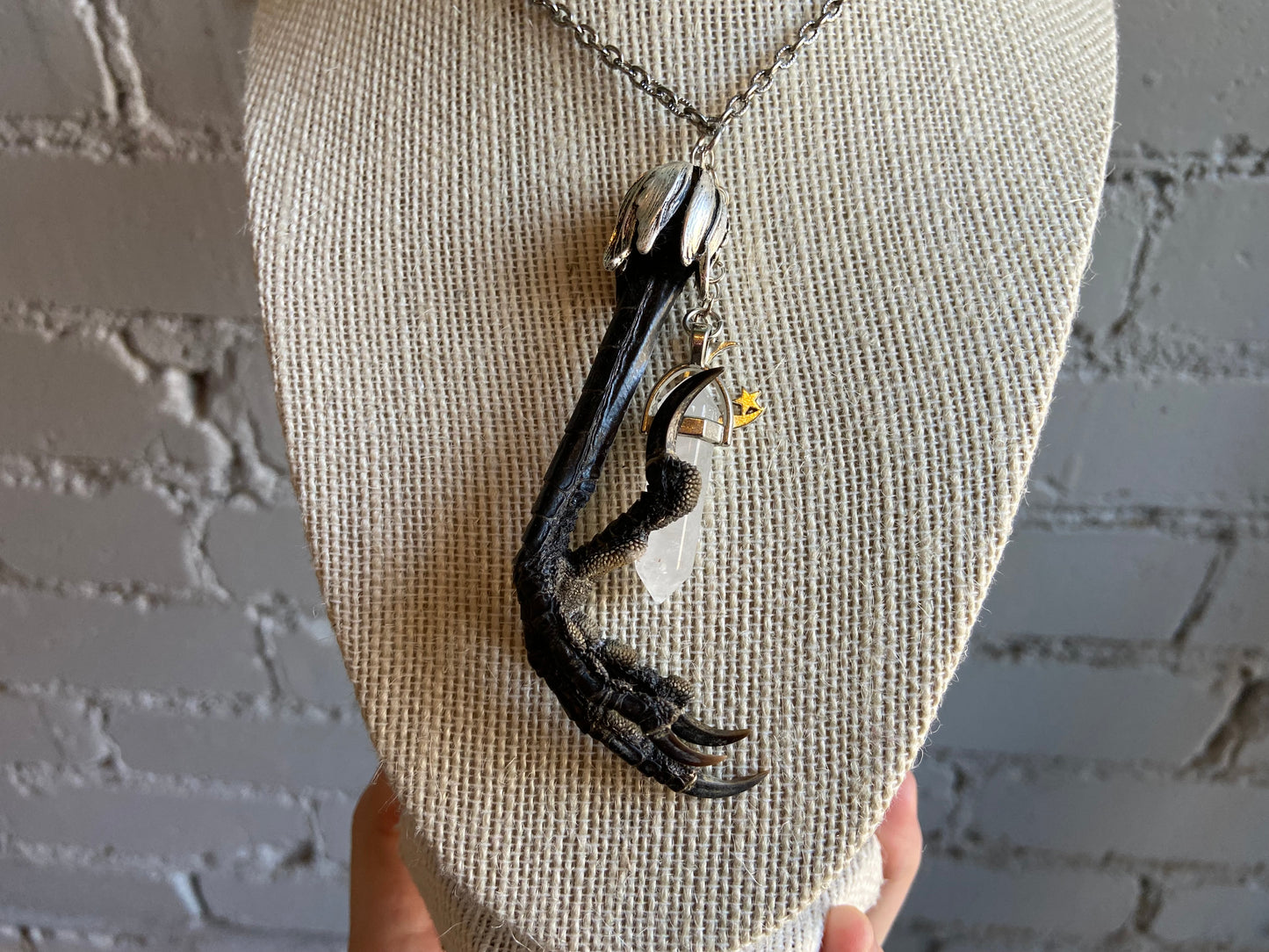 Carrion Crow Claw Necklace