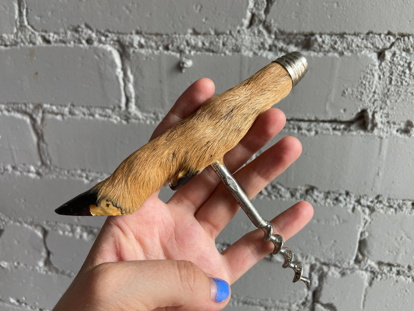 Roe Deer Hoof Cork Screw