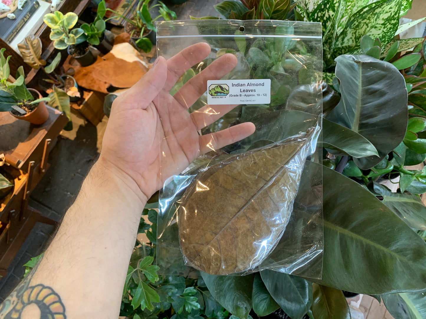 NewCal Almond Leaves