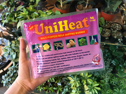 96 Hour Heat Pack