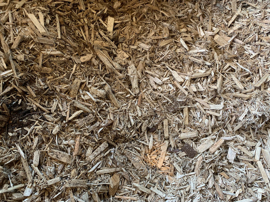 Zoo Med Cypress Mulch - 1lb