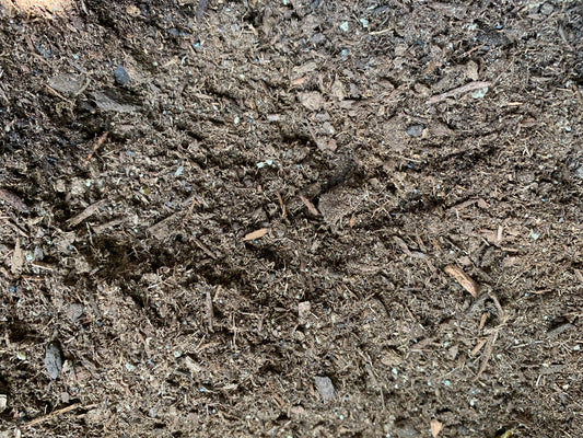 Zoo Med ReptiSoil - 1lb