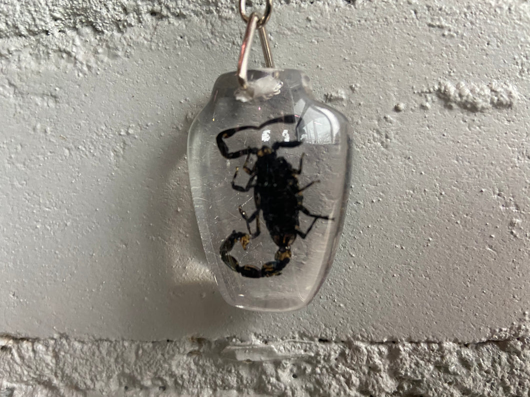 Scorpion Keychain