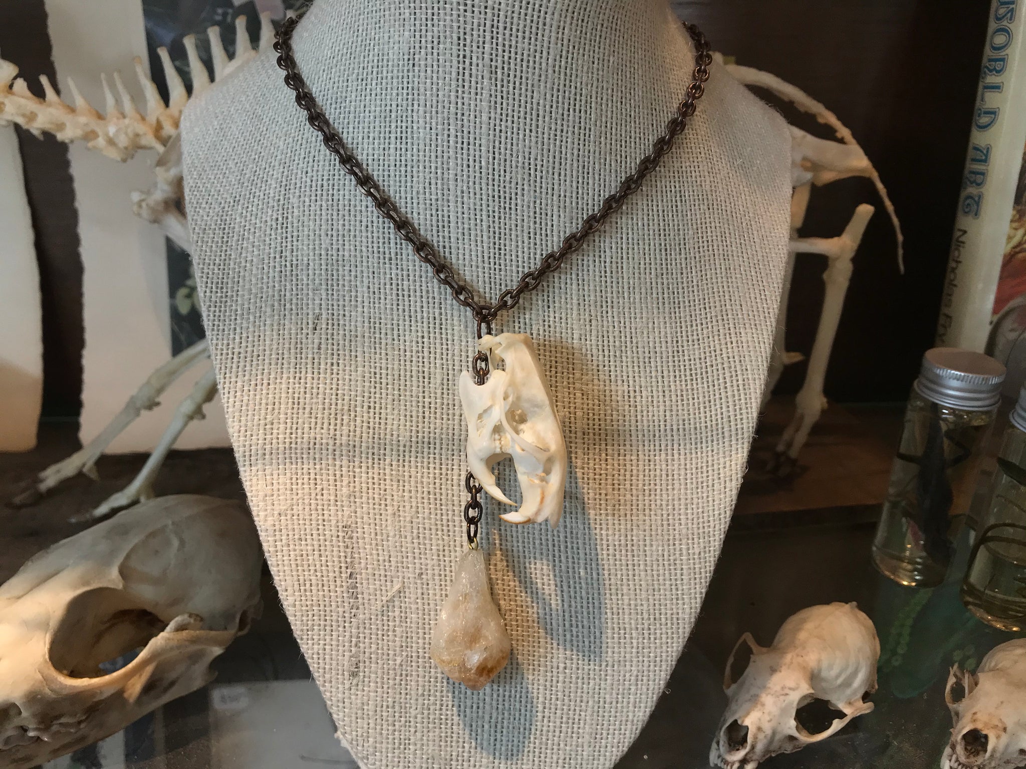 Rat skull store necklace