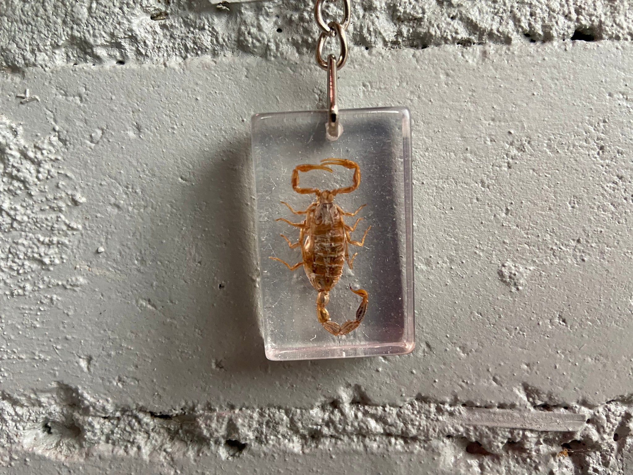 Scorpion keychain on sale