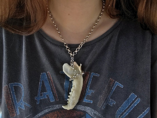 Racoon Jaw Necklace - Silver